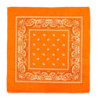 Bandana orange